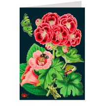 Red Geraniums on Black Beautiful Floral Card ~ England